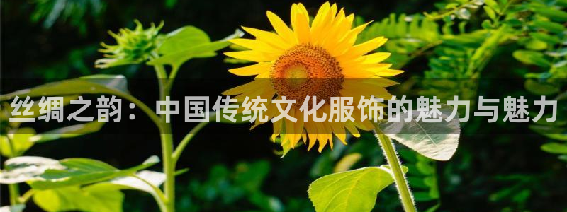 华润娱乐地7O667
