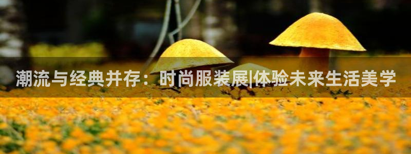 华润娱乐年