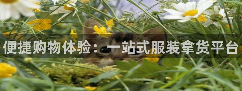 华润娱乐类似平台有哪些