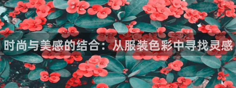 华润娱乐撤122222：时尚与美感的结合