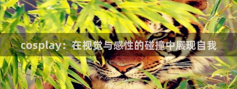 华润娱乐家