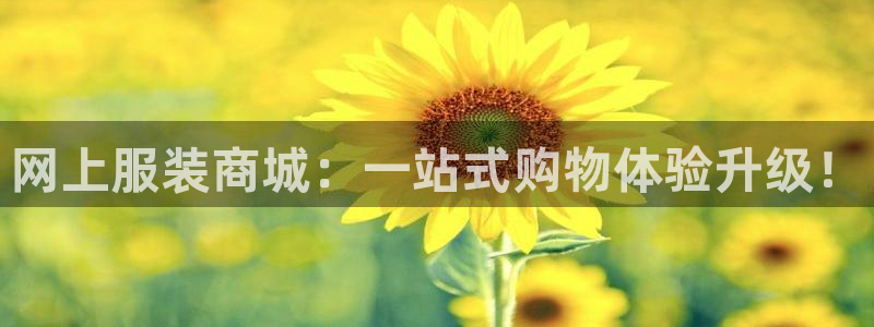 华润旗下娱乐产业有哪些