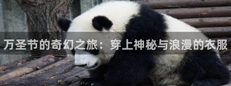 华润娱乐中心