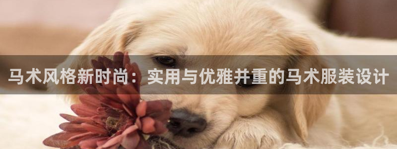 华润娱乐章92222