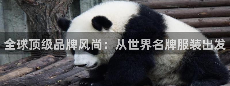 华润娱乐于六七五一38