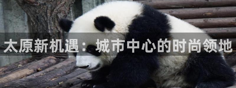 华润娱乐笆922 22