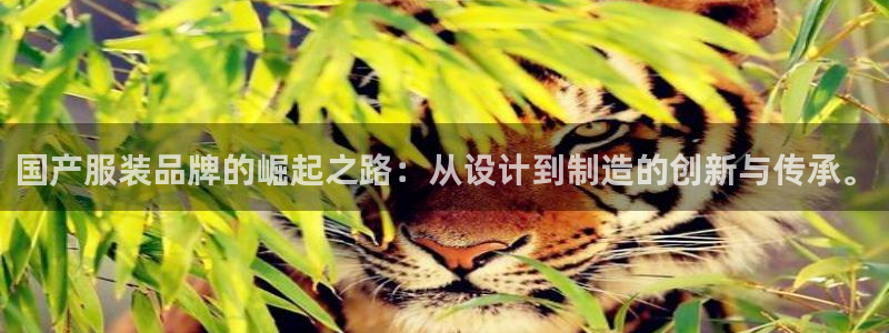 华润娱乐技术前景