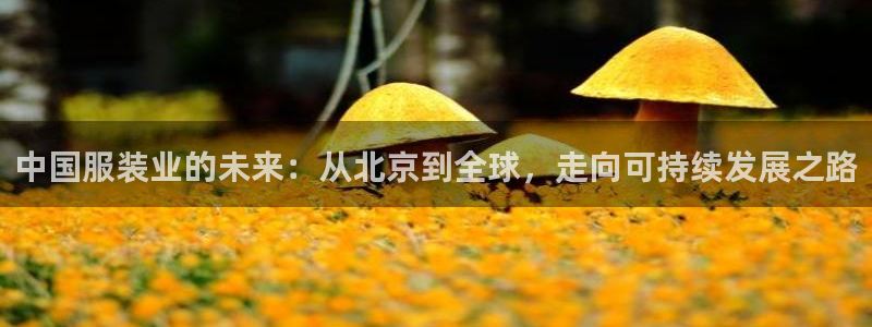 华润娱乐胡判官21：中国服装业的未来：从