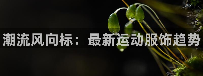 华润娱乐撤122222