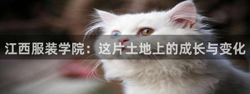 华润娱乐任92222