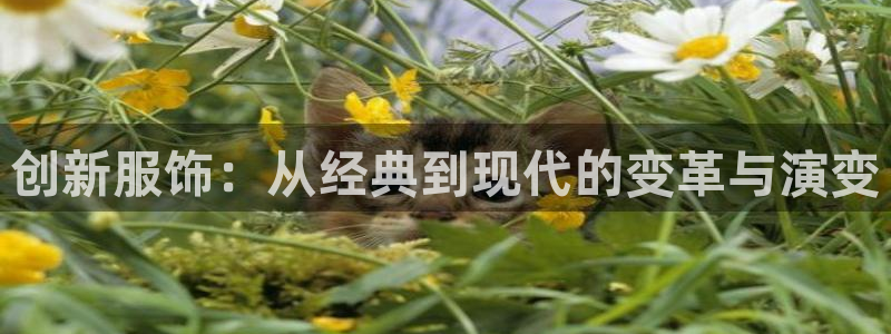 华润娱乐聪95692