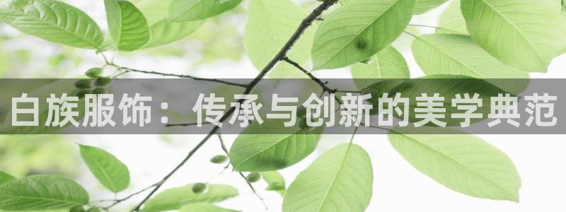 华润时代娱乐项目