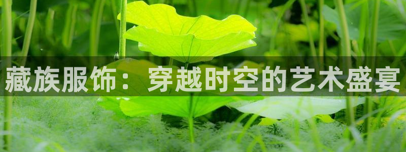 华润集团有娱乐公司吗